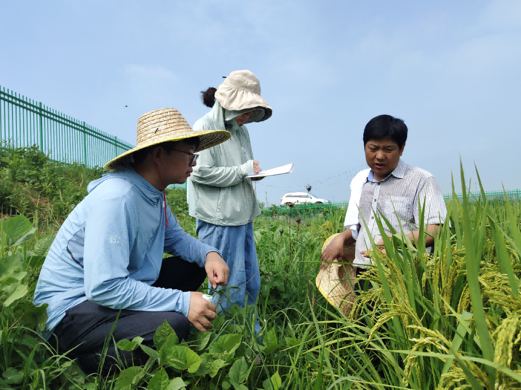 圖片2.png 圖片2.png